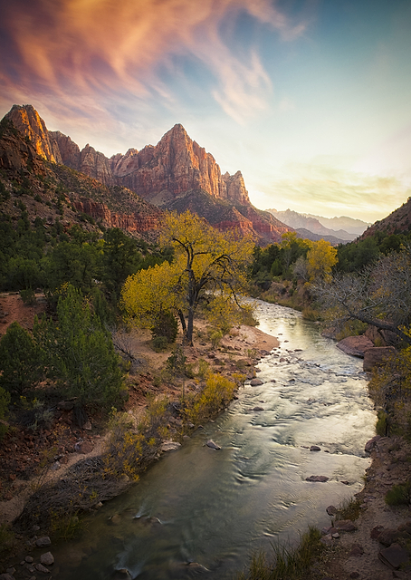 Zion National Park / PLATINA