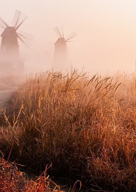 Morning mist / PLATINA