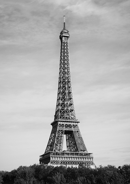 Eiffel Tower - Tour Eiffel / PLATINA