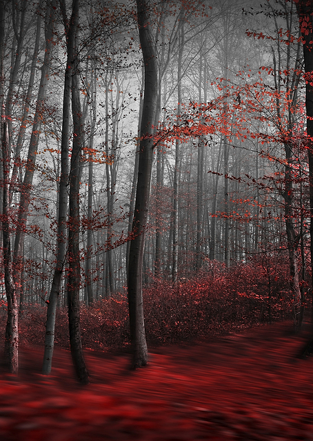 Bloody River / PLATINA