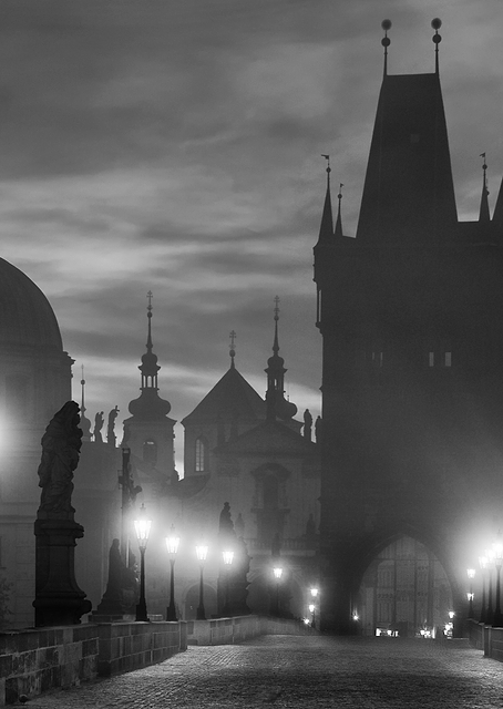 Charles Bridge / PLATINA