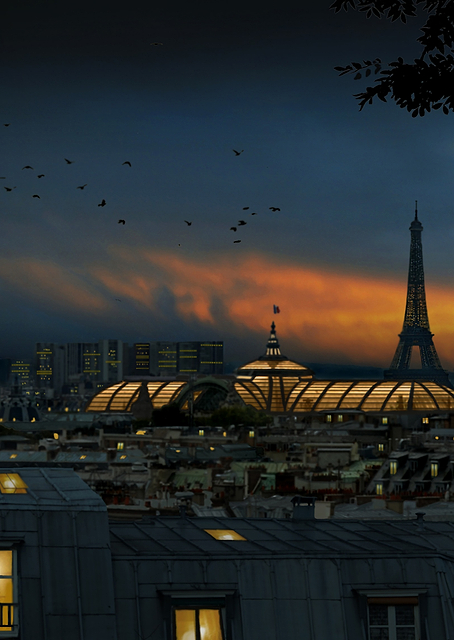 roofs of Paris blue hour / PLATINA