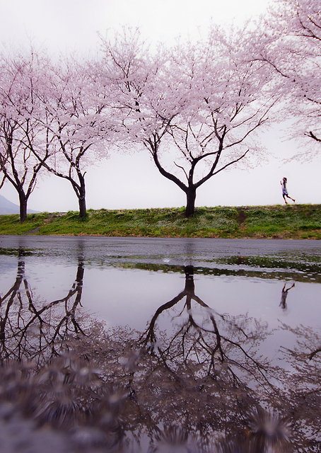 Rain of spring / PLATINA