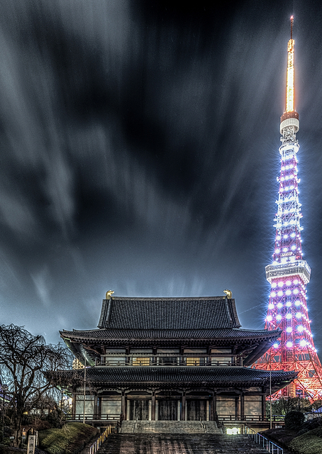 Zojoji and Tokyo Tower / PLATINA