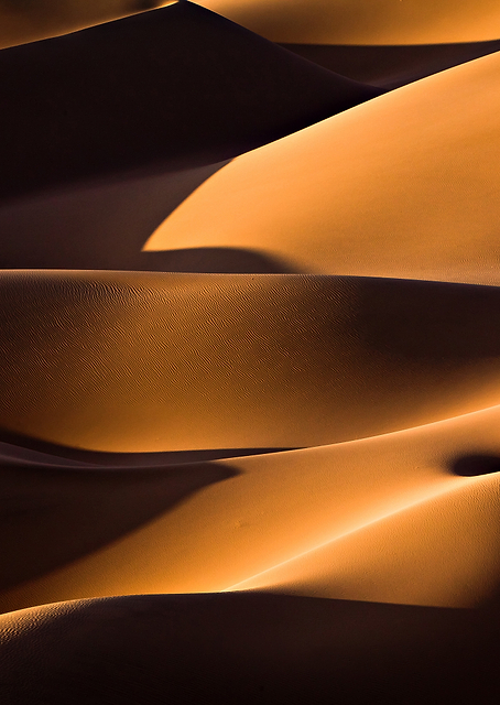 Light and Shadow / PLATINA