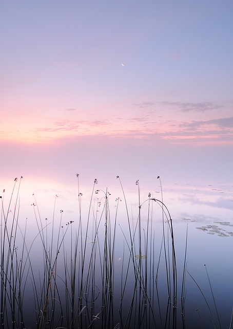Lake / PLATINA