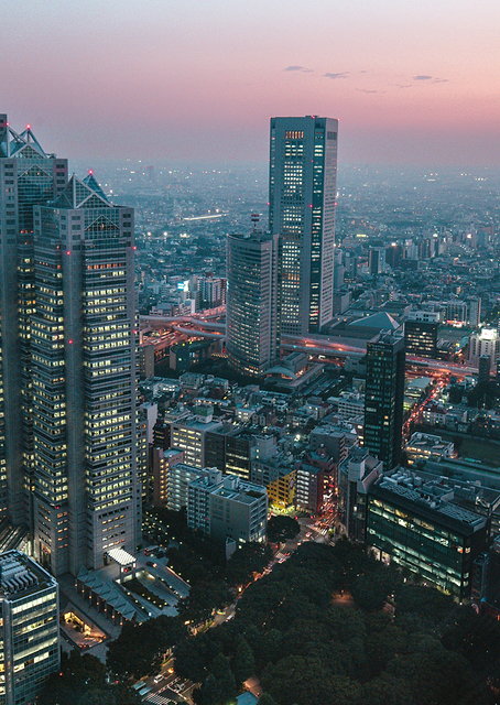 Tokyo at dusk / PLATINA