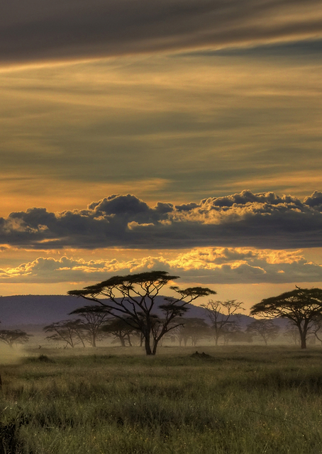 Africa / PLATINA