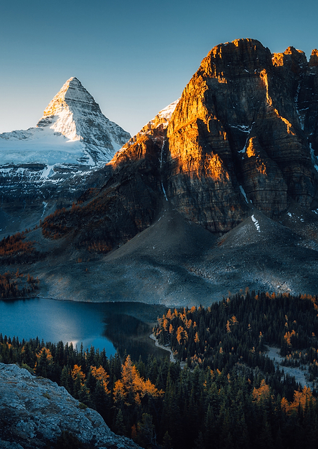 Morning Sunlight / PLATINA