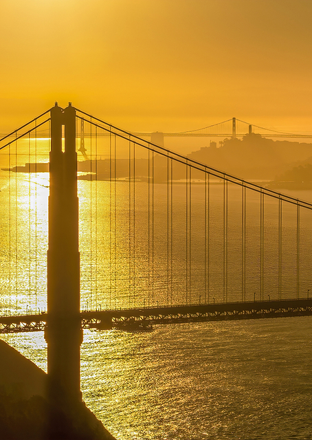 Golden Gate Bridge Sunrise / PLATINA