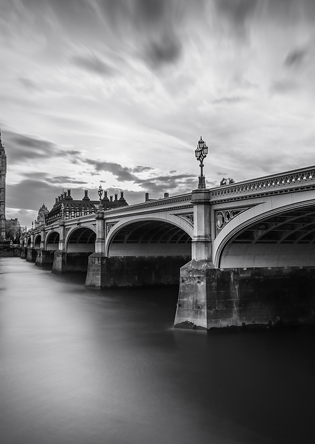 Westminster Serenity / PLATINA