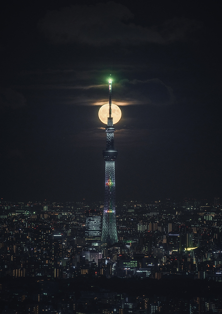 Moon City / PLATINA