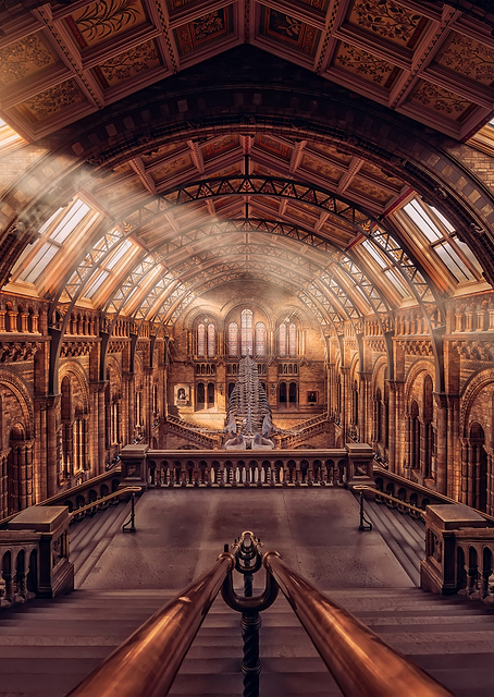 Natural History Museum / PLATINA