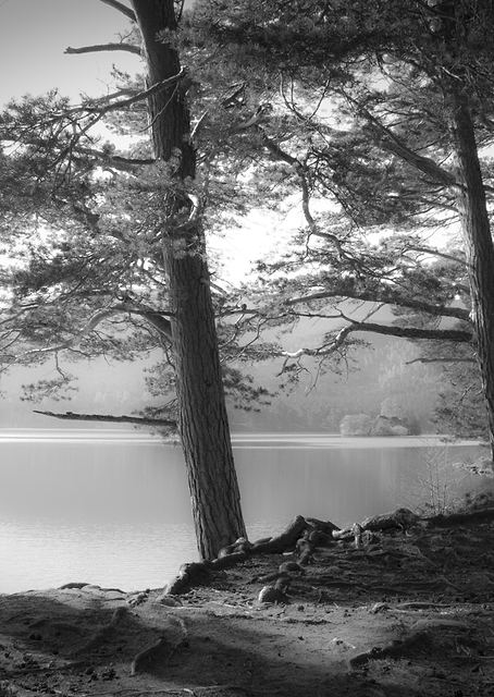 Loch an Eilein / PLATINA