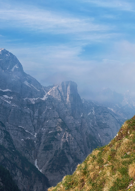 Alpine Ibex / PLATINA