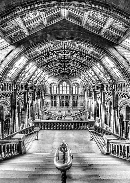 London gallery / PLATINA