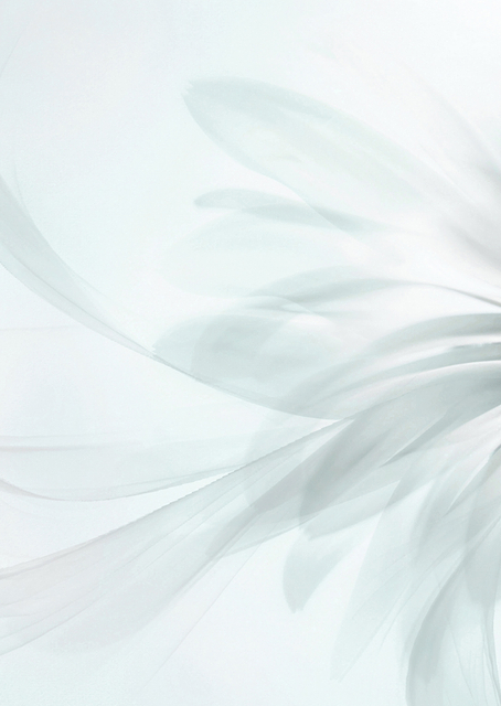 Purity / PLATINA