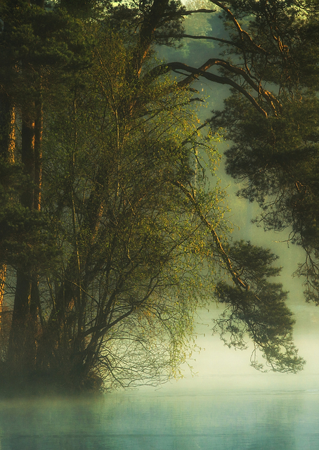 Dutch fen / PLATINA