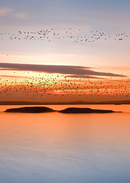 by sunset / PLATINA