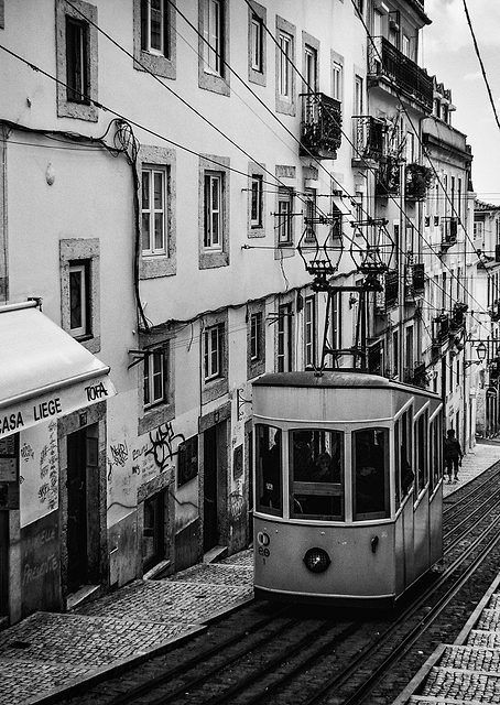 Tram in Lisbon / PLATINA