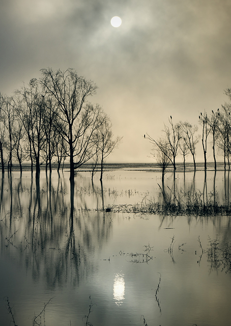 Lake's Secret / PLATINA