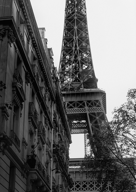 Tour Eiffel - Eiffel Tower / PLATINA
