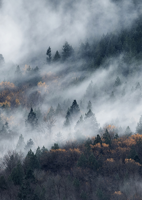 A path of the fog / PLATINA