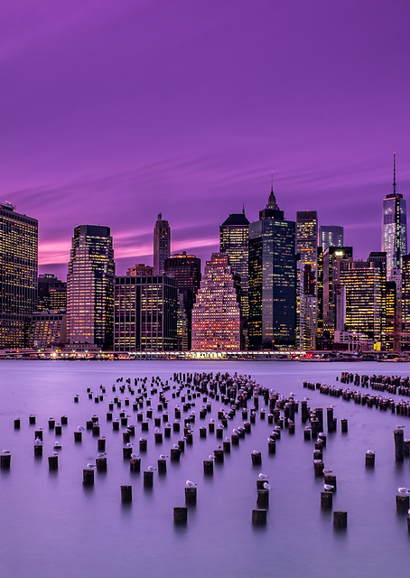 New York Violet Sunset / PLATINA