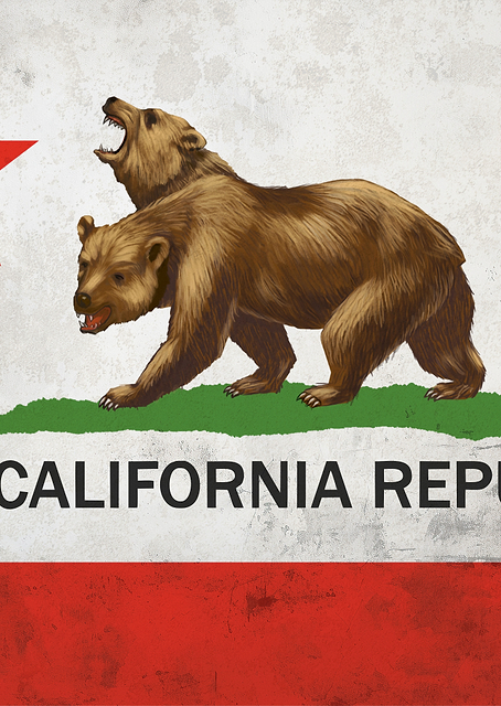New California Republic / PLATINA