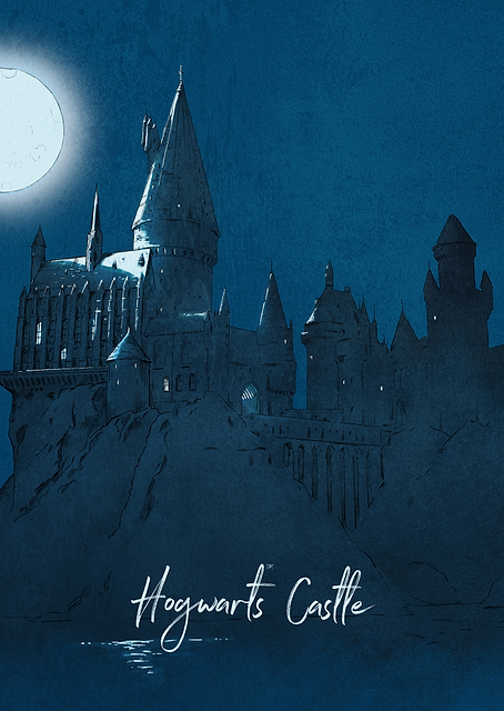 Hogwarts Castle / PLATINA