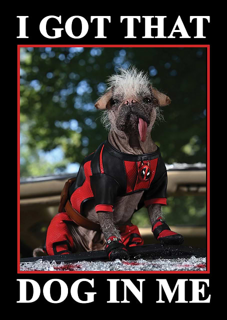 Dogpool Dog In Me / platina