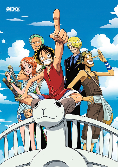 Straw Hat Pirates / PLATINA