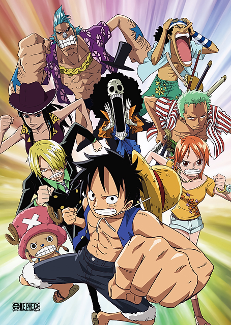 Straw Hat Crew Fight / PLATINA