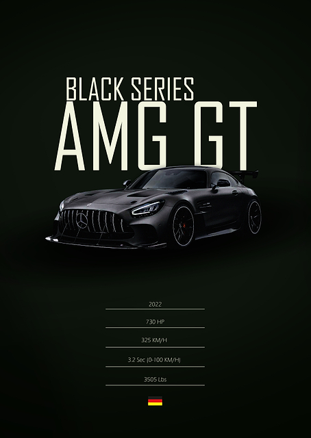 2022 Mercedes AMG GT Black Series / PLATINA