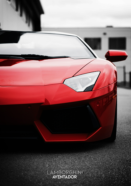 Lamborghini Aventador / PLATINA