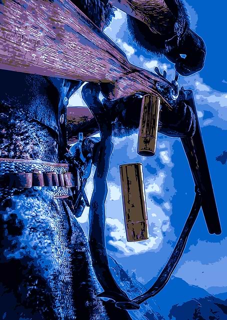 Red Dead Redemption / platina