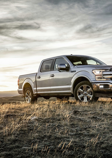 Ford F-150 / PLATINA