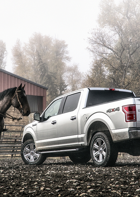 Ford F-150 / PLATINA