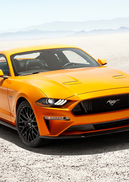 Ford Mustang / PLATINA