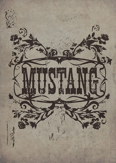 Mustang graphics / PLATINA