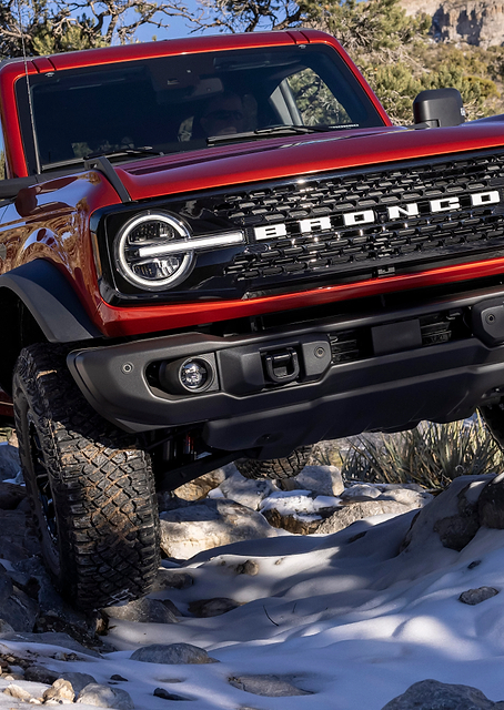 Winter Bronco / PLATINA