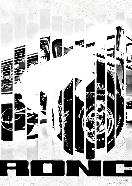 Bronco b&w / PLATINA