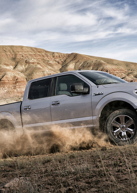 Ford F-150 / PLATINA