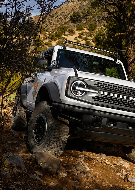 Ford Bronco / PLATINA
