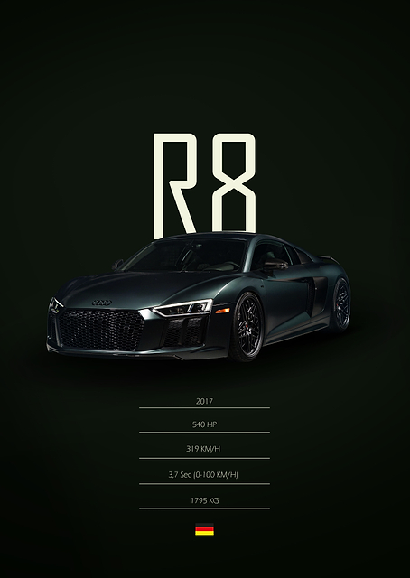 2017 Audi R8 / PLATINA
