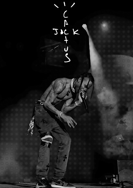 Travis Scott / platina