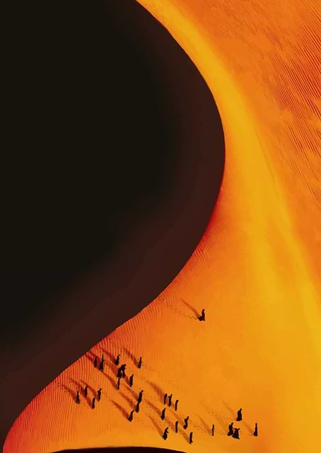 Desert Dune Silhouette / PLATINA