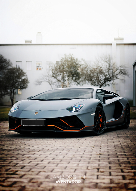 Lamborghini Aventador / PLATINA