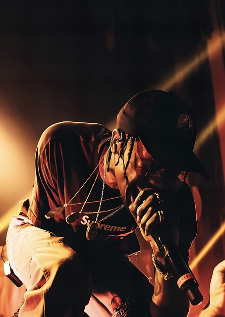 Travis Scott / platina