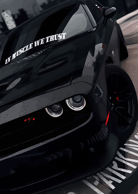 Black Dodge Challenger / PLATINA